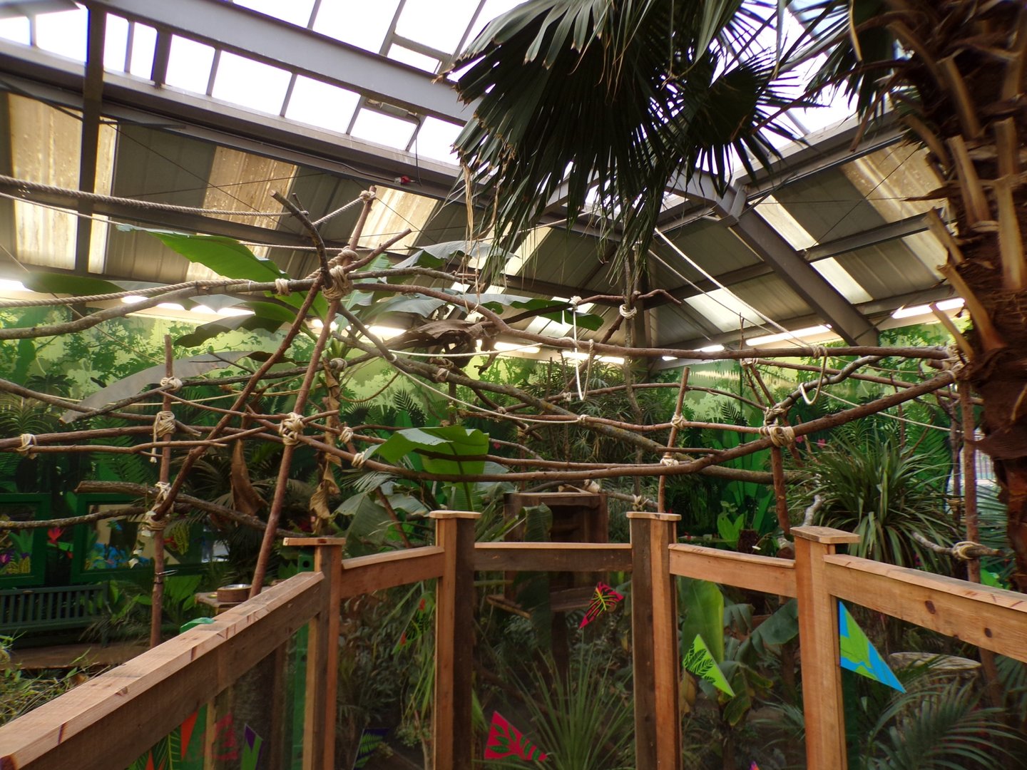 Two toed sloth enclosure