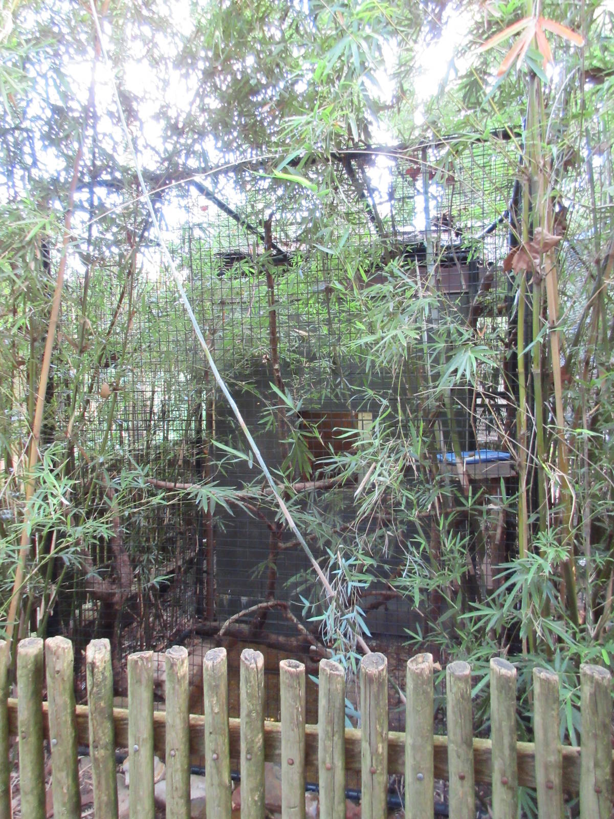 Two-Toed Sloth Exhibit - a lush exterior!