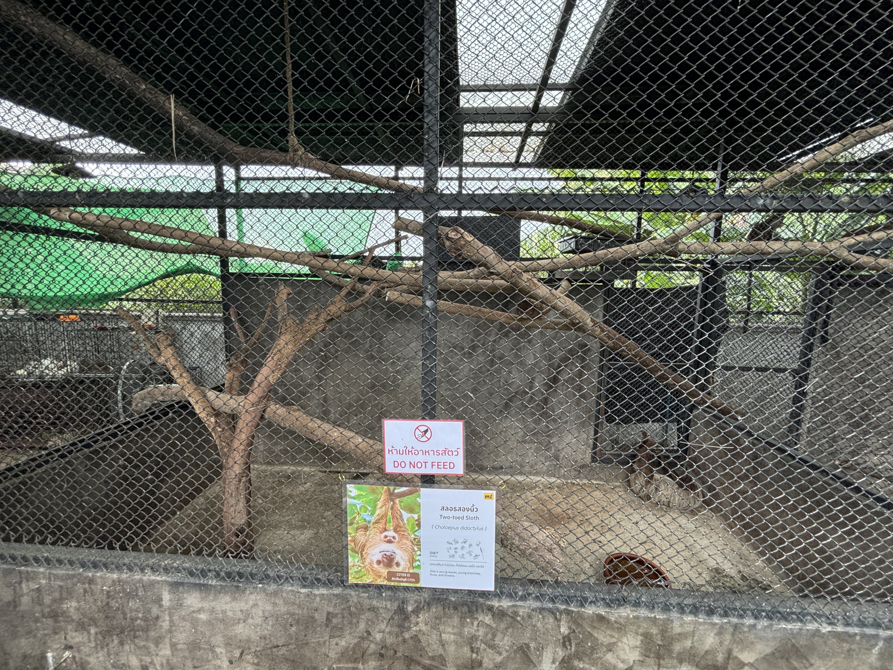 Two-toed Sloth Exhibit - Lanna Mini Zoo