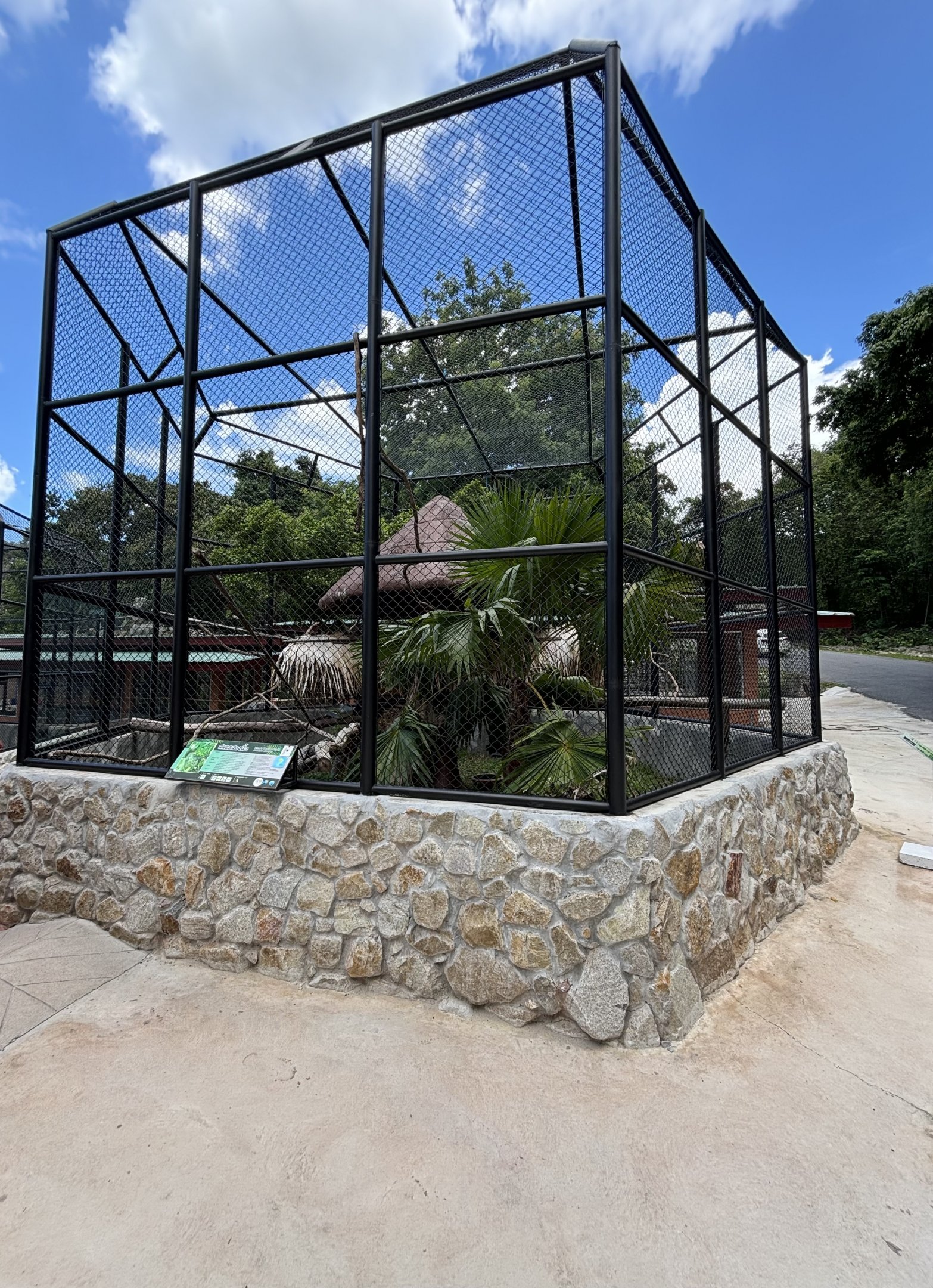 Two-toed Sloth Exhibit (New in 2024)