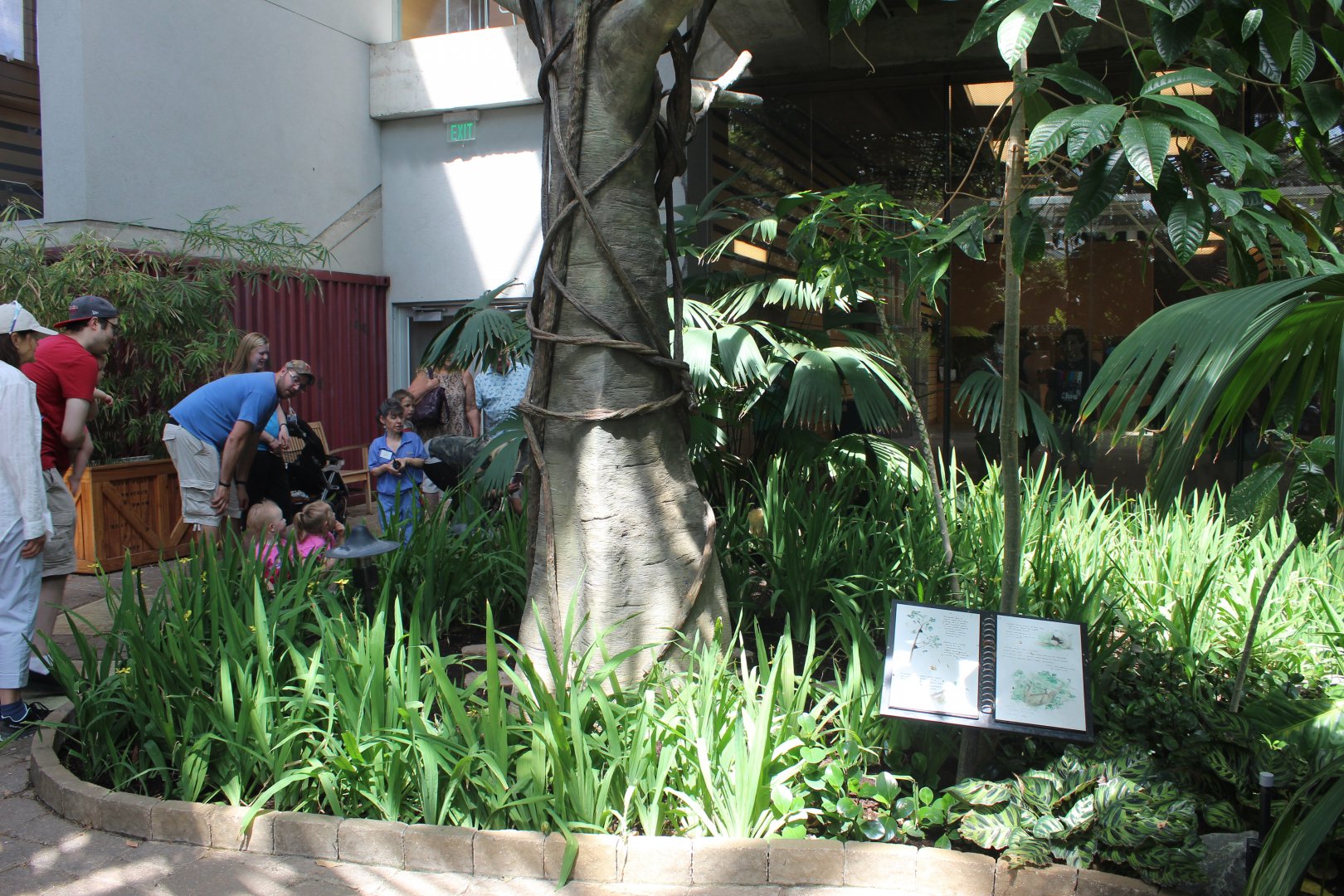 Two-Toed Sloth Exhibit - Tropical Discovery