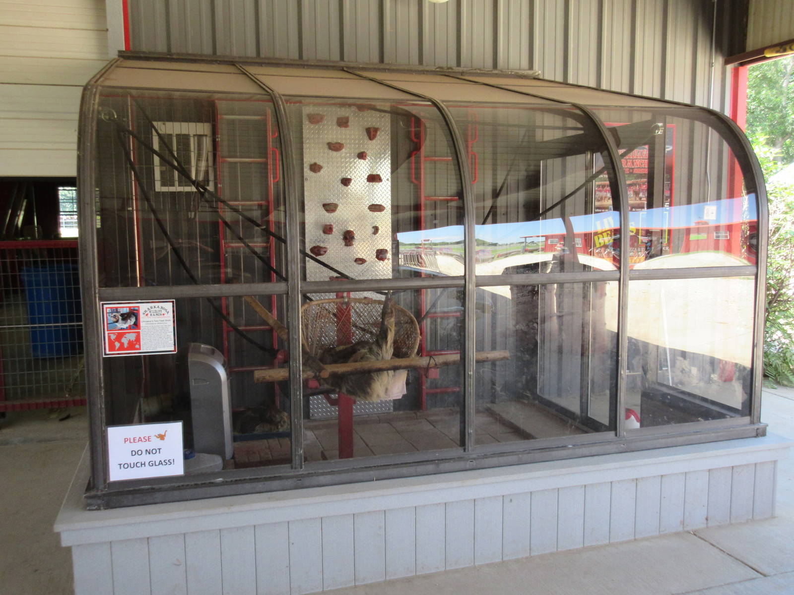 Two-Toed Sloth Exhibit