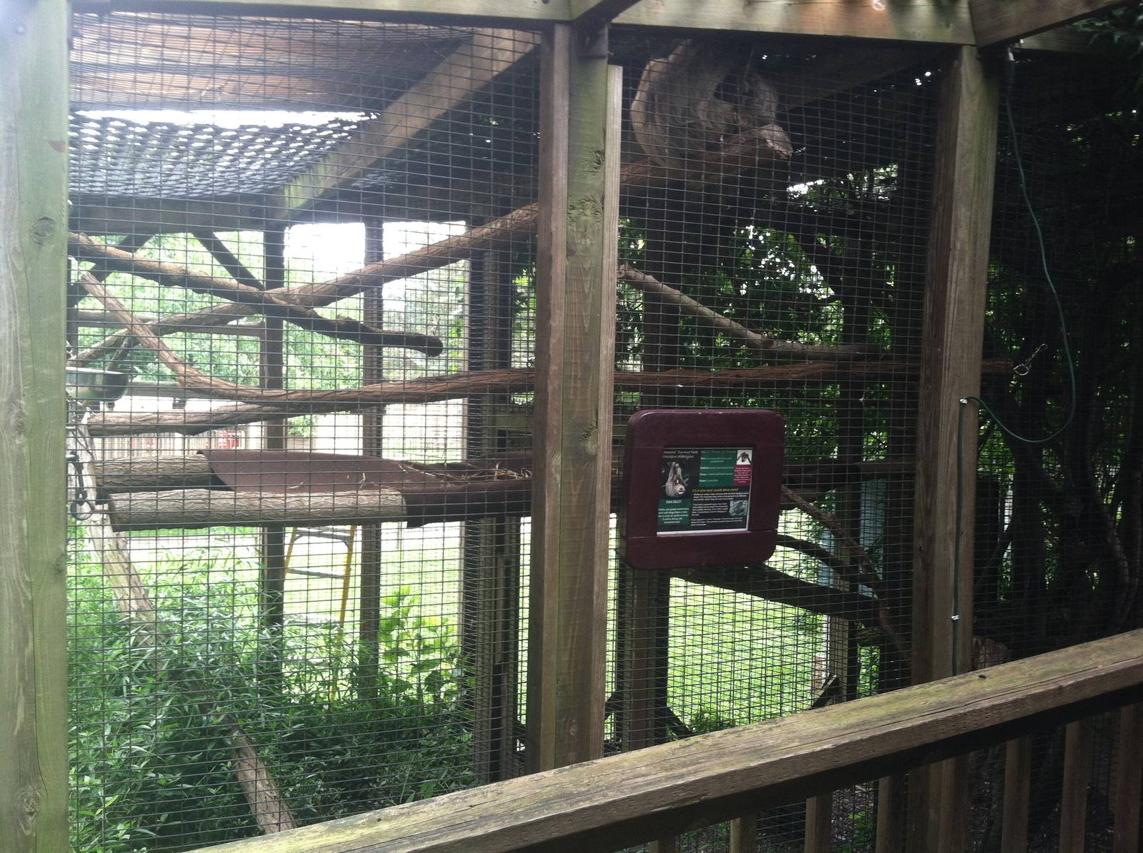 Two-Toed Sloth Exhibit