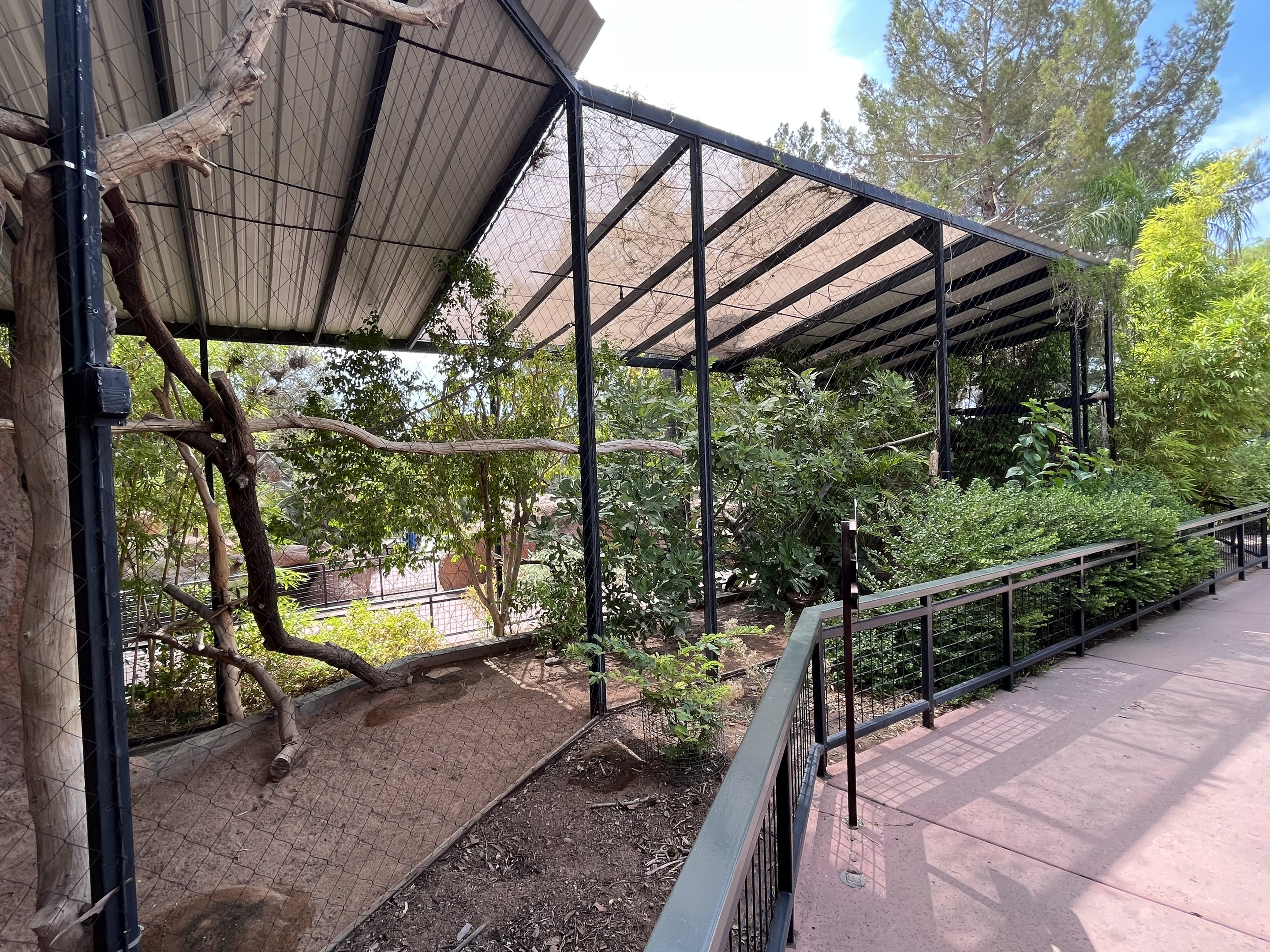 Two-toed Sloth Exhibit