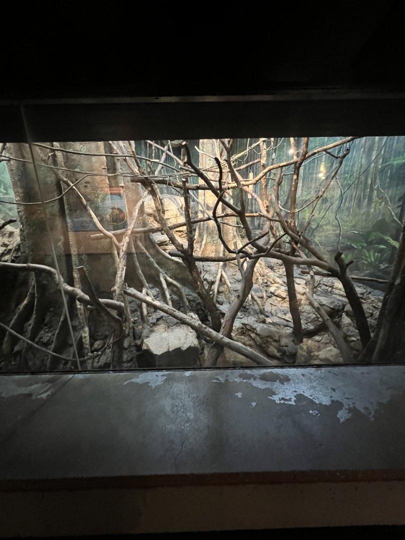 Two-Toed Sloth Exhibit