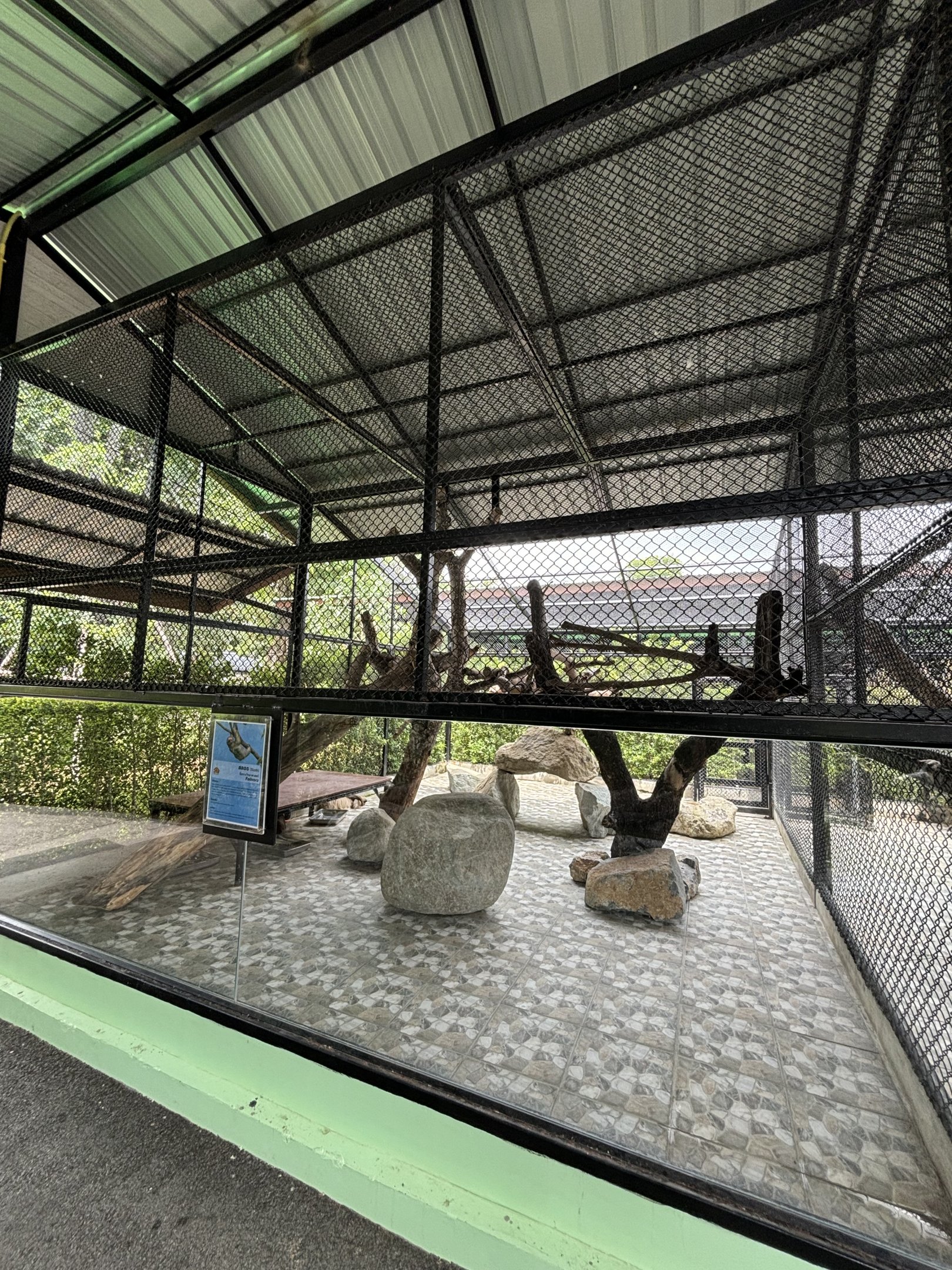 Two-toed Sloth Exhibit