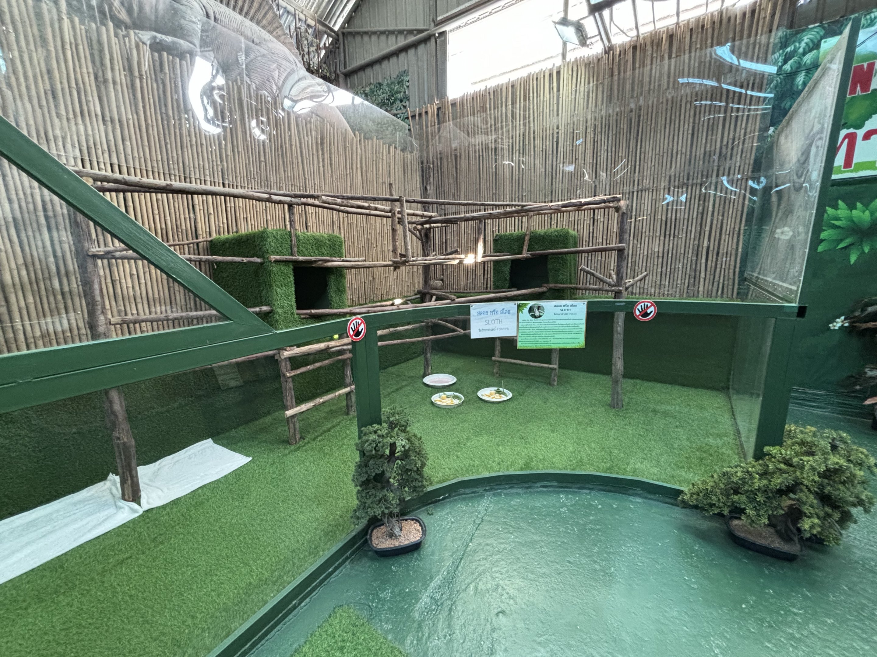 Two-toed Sloth Exhibit