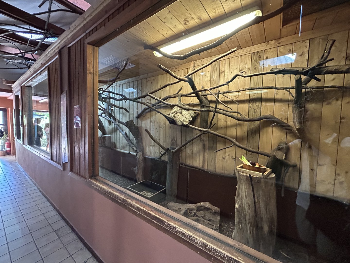 Two-toed Sloth Exhibit