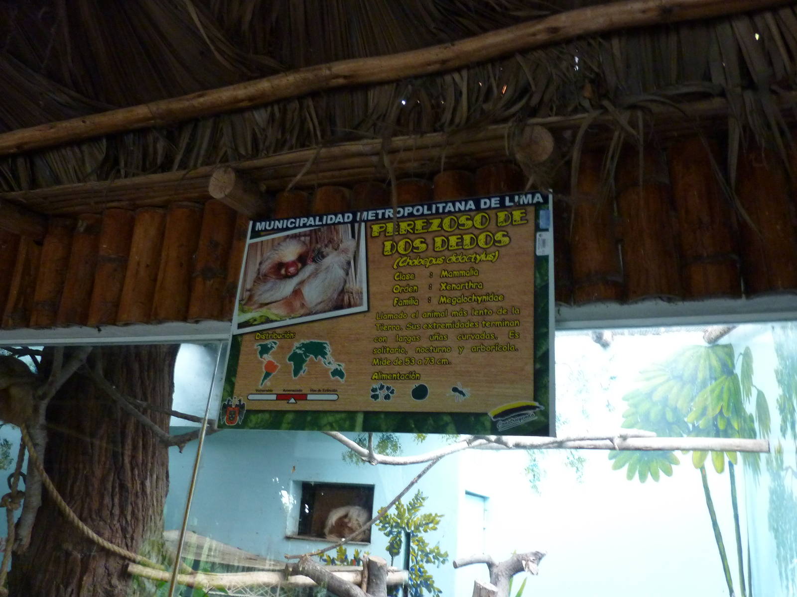 Two-toed sloth sign