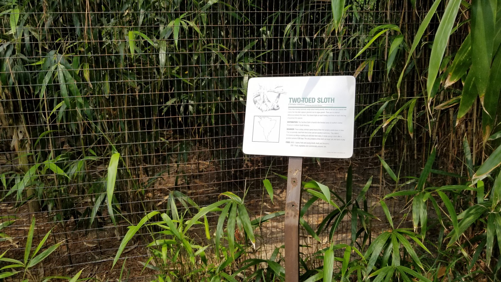 Two-toed Sloth sign