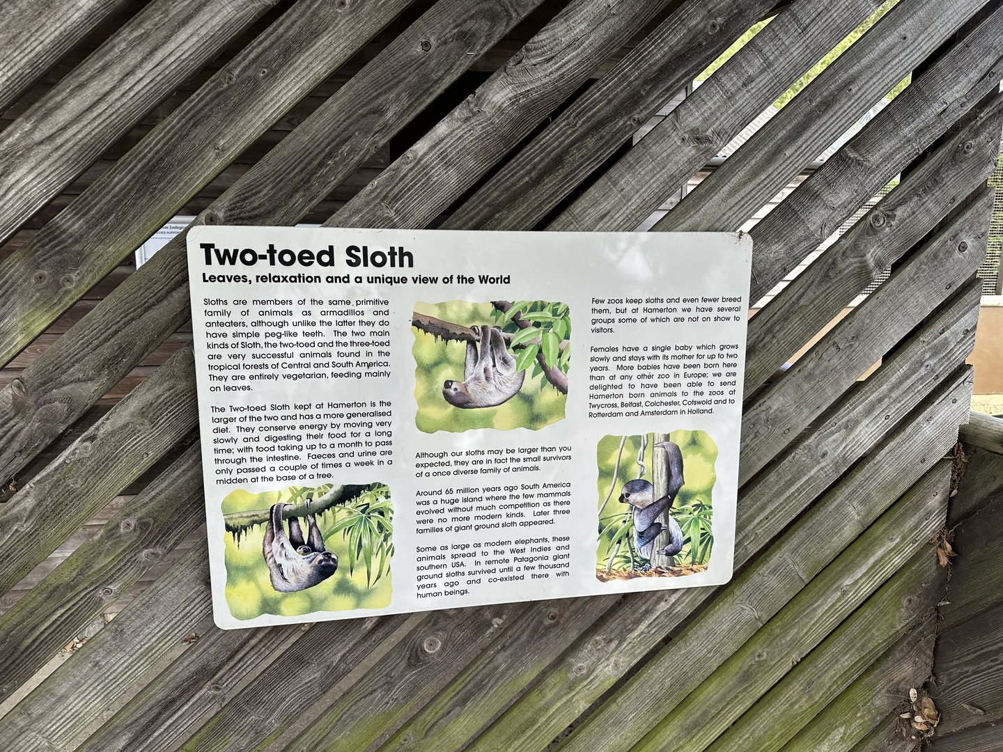 Two-toed Sloth Signage at Hamerton Zoo Park (October 2023)