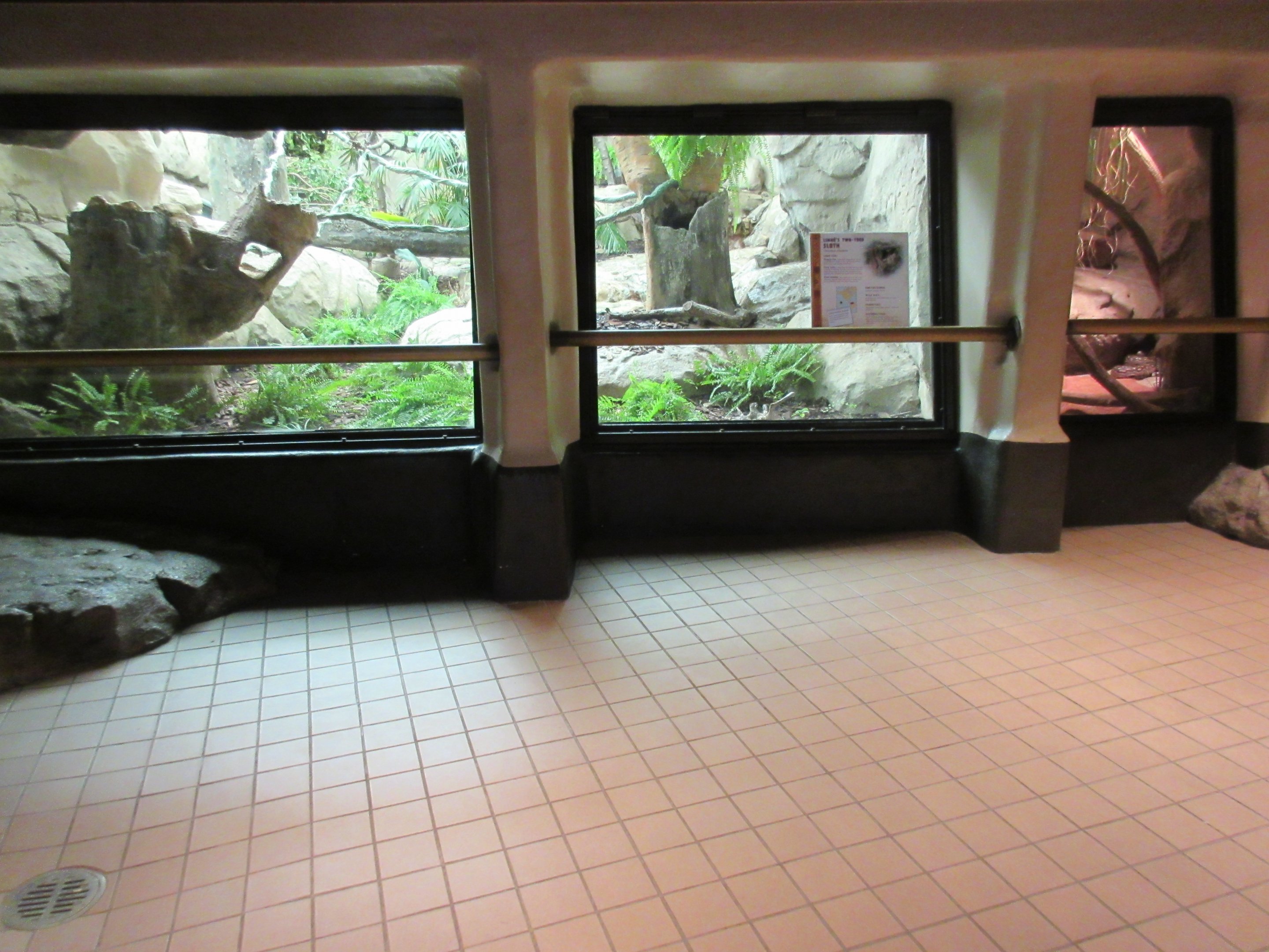 Two-toed Sloth + Southern African Python Exhibits