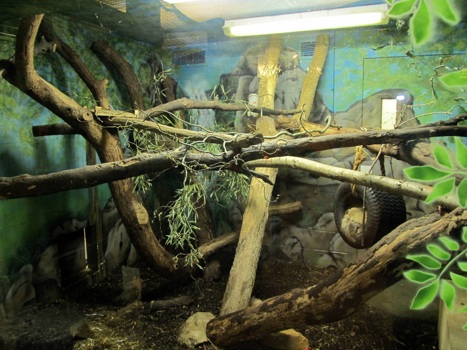 Two-toed Sloth/Three-banded Armadillo Exhibit