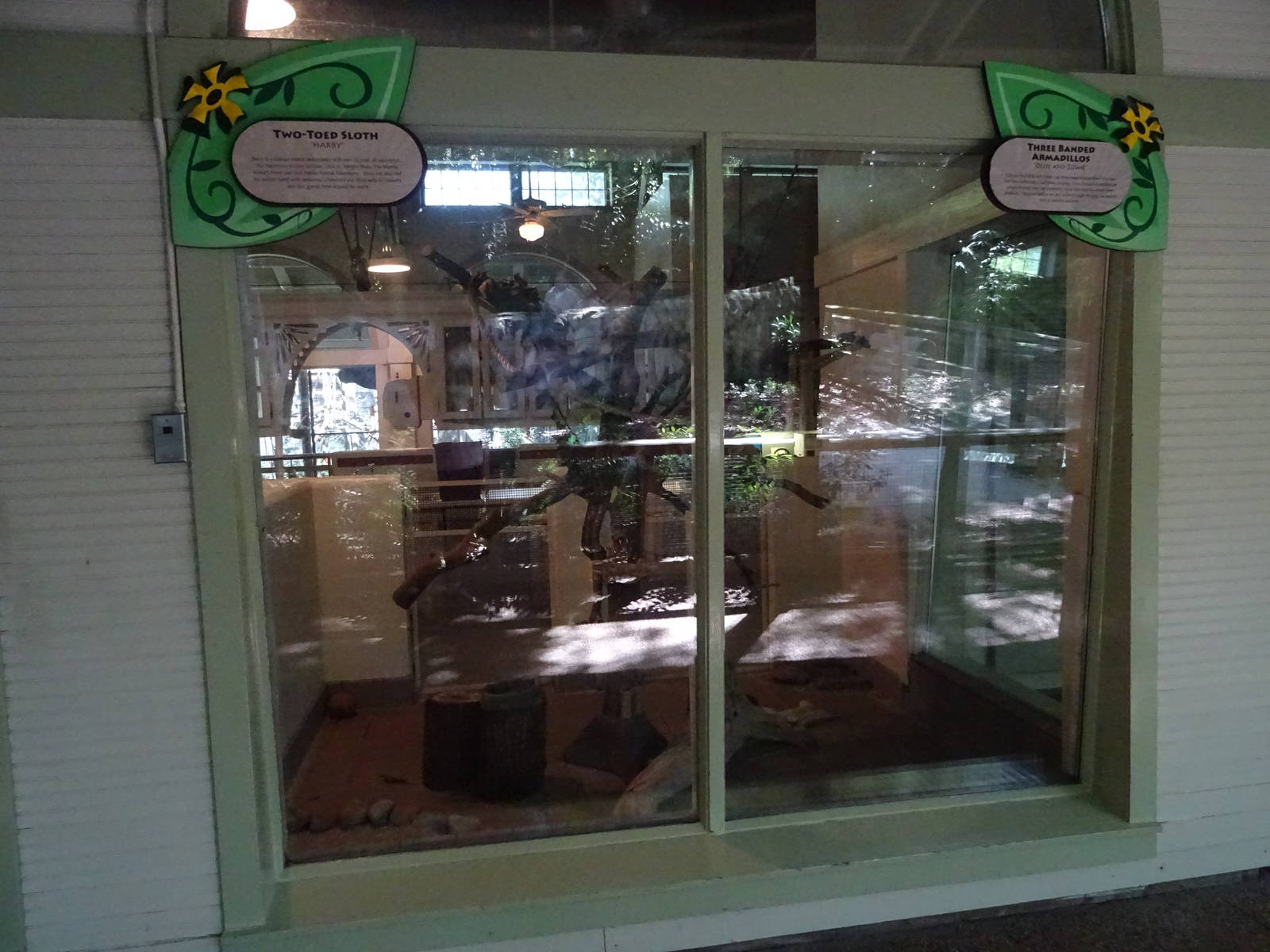 Two-Toed Sloth / Three Banded Armadillo Exhibits at Busch Gardens Tampa