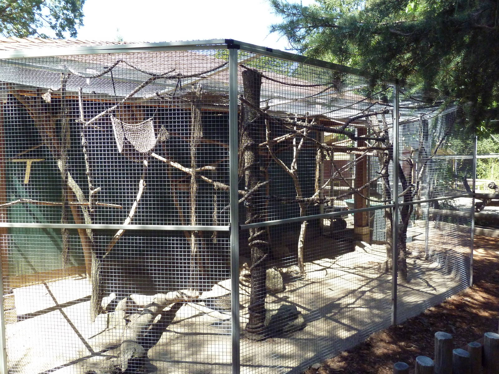 Two-Toed Sloth/Titi Monkey Exhibit