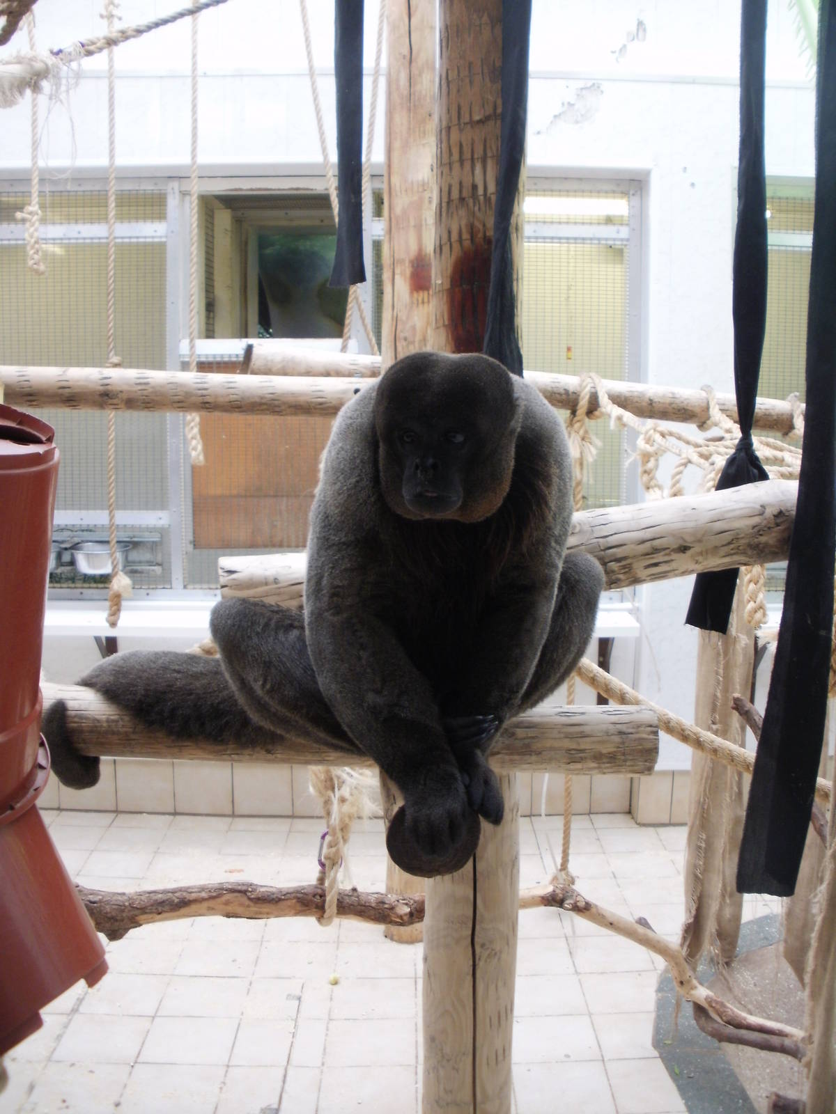 Twycross - 28.10.2010