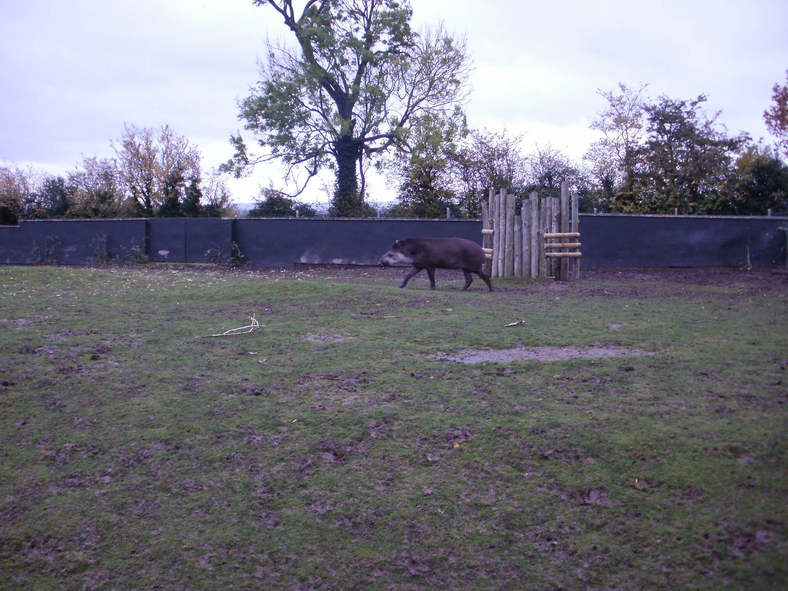 Twycross - 28.10.2010