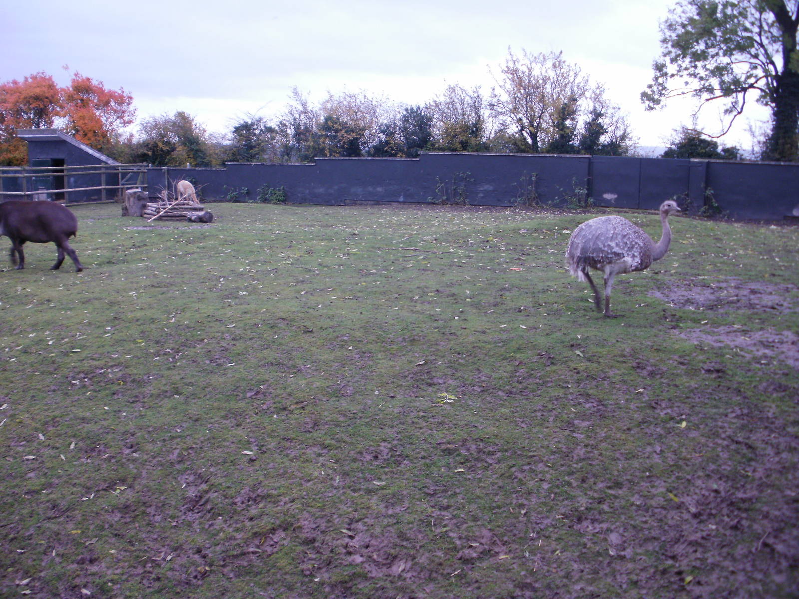 Twycross - 28.10.2010