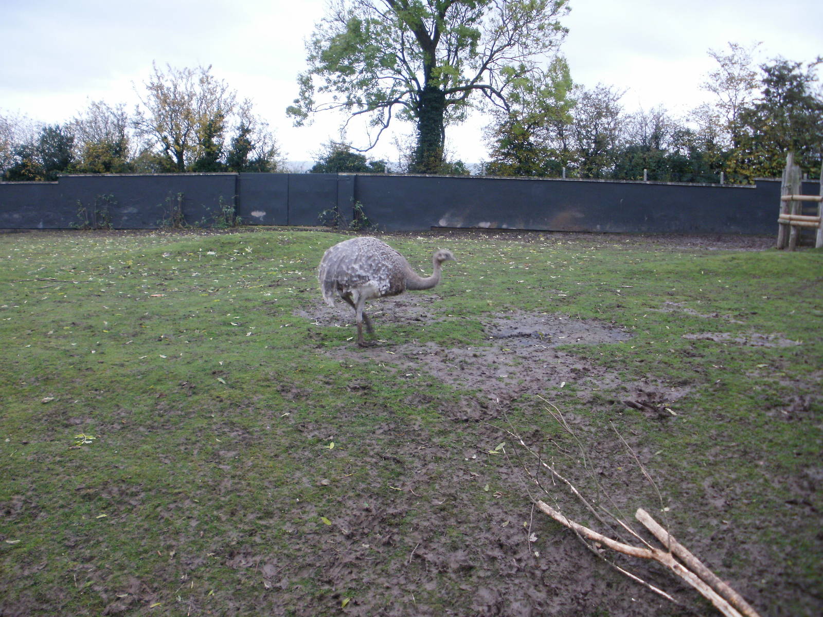Twycross - 28.10.2010