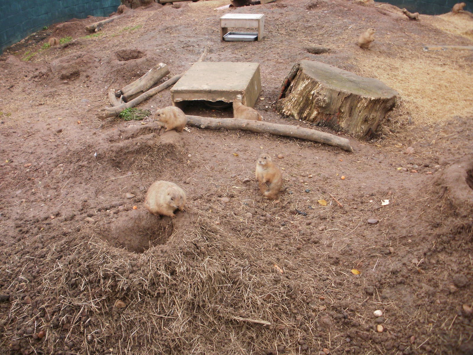 Twycross - 28.10.2010