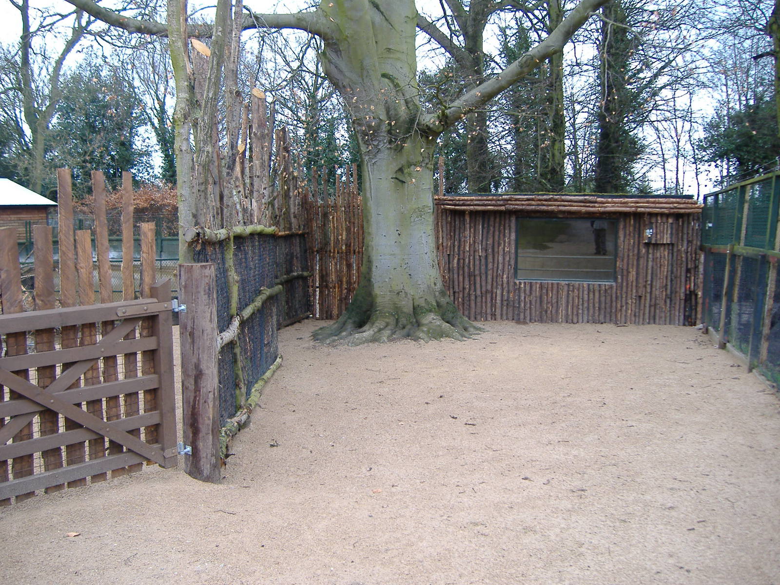 Twycross Malayan Tapir Enclosure