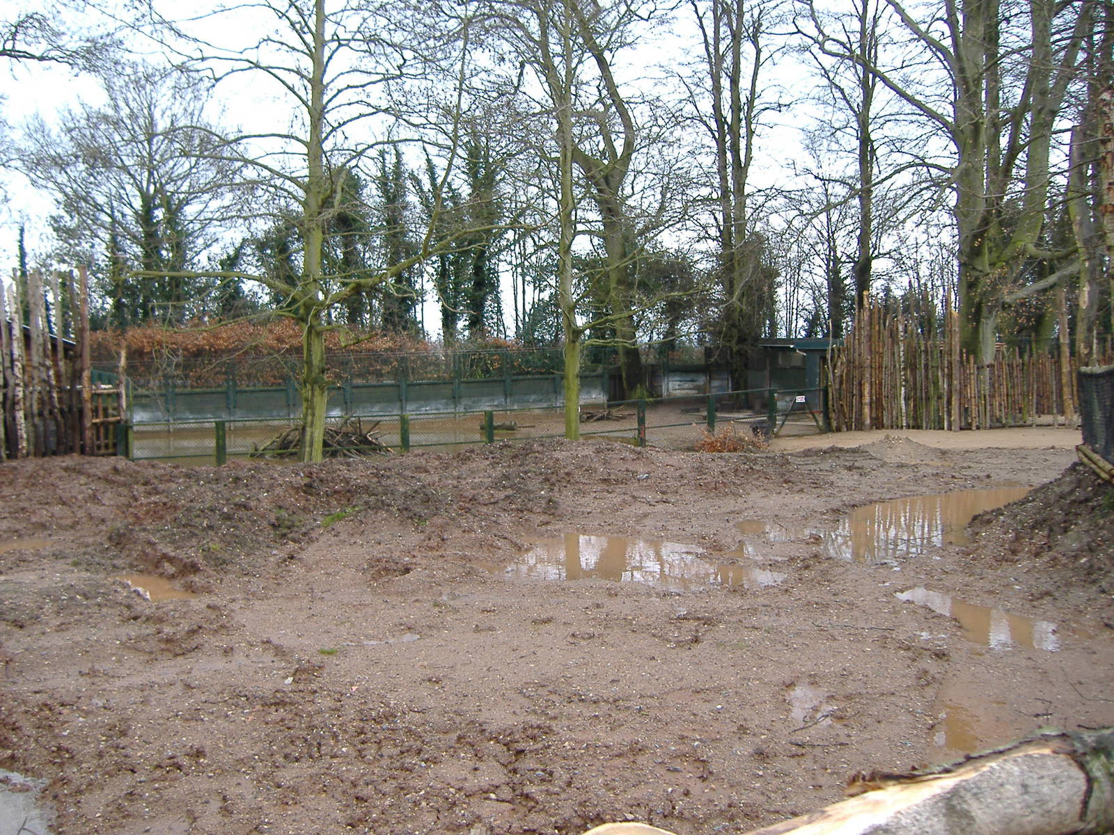 Twycross Malayan Tapir Enclosure