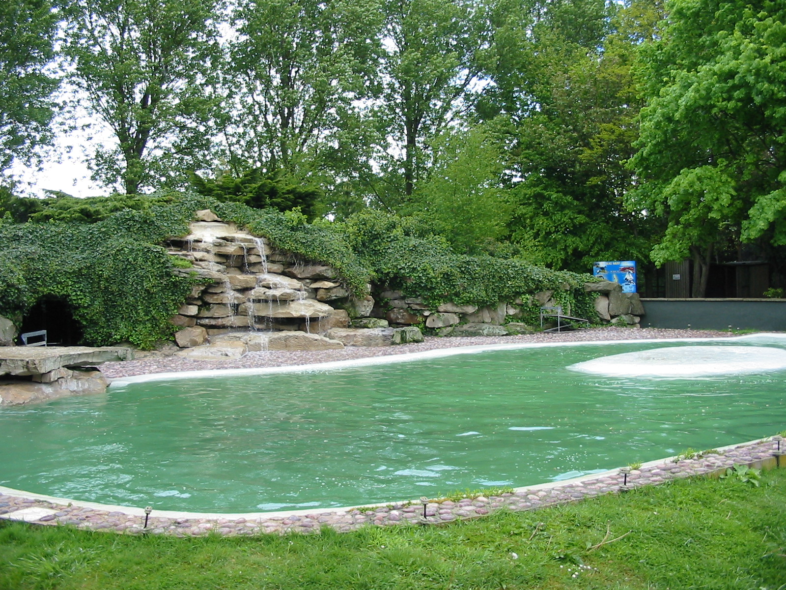 Twycross Zoo 2003 - Sea Lion exhibit