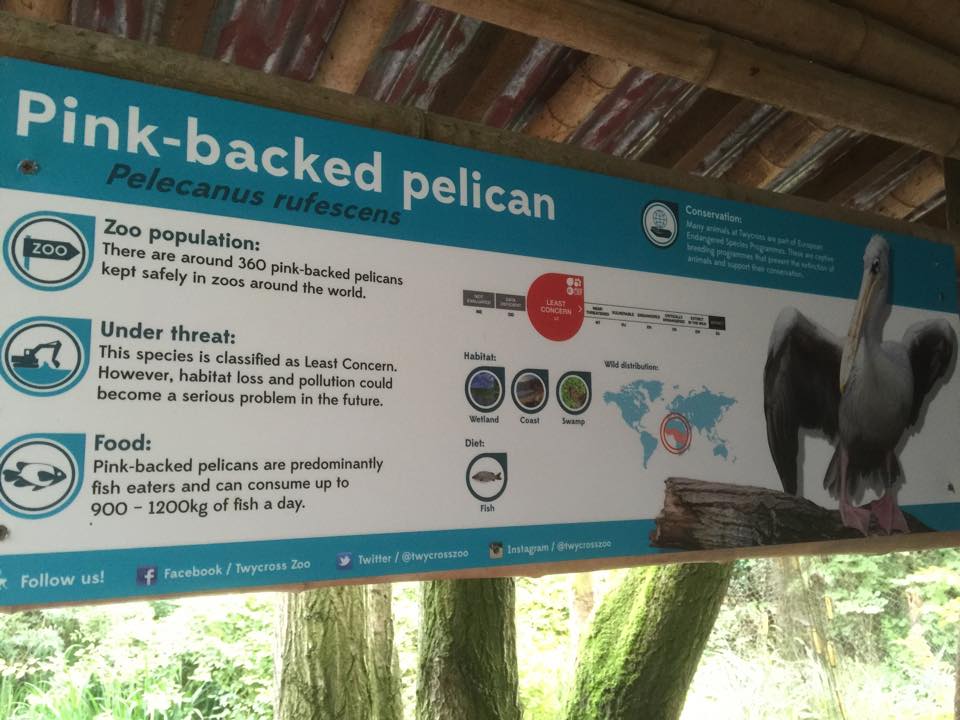 Twycross Zoo - 28/8/16