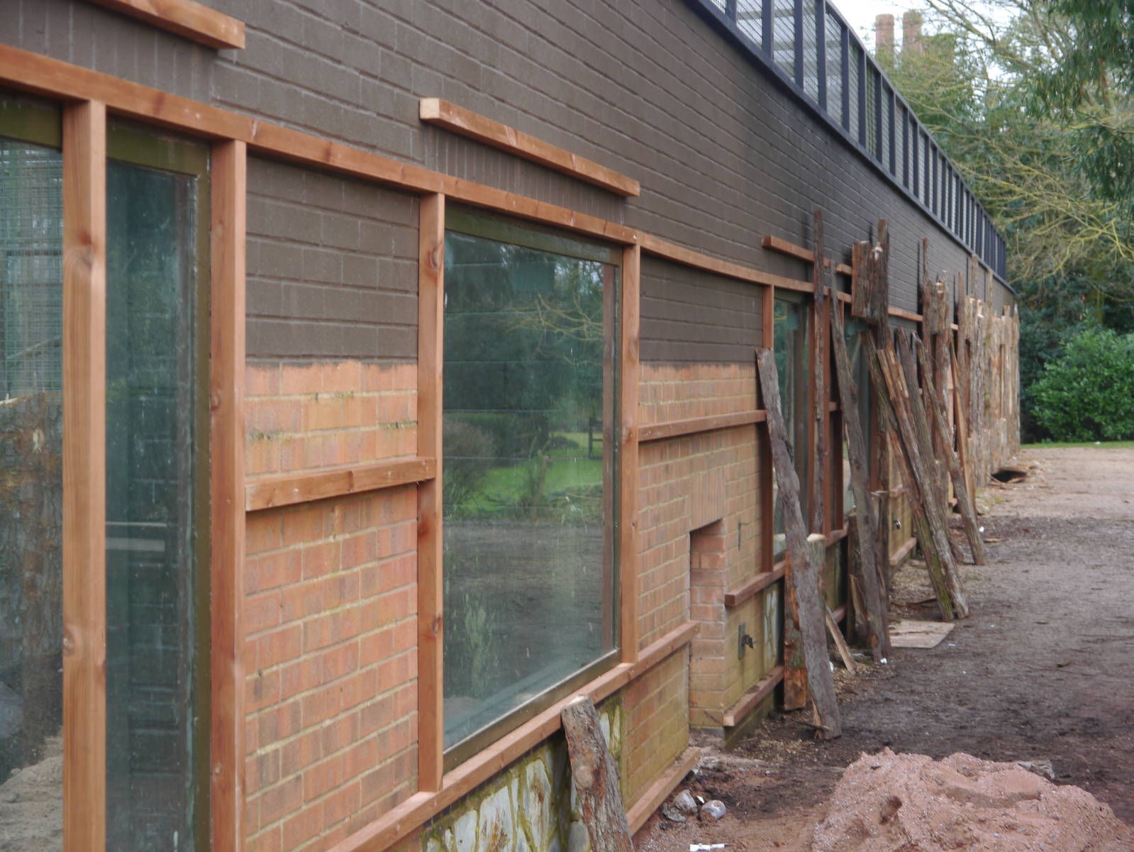 Twycross Zoo (3/2/2013)