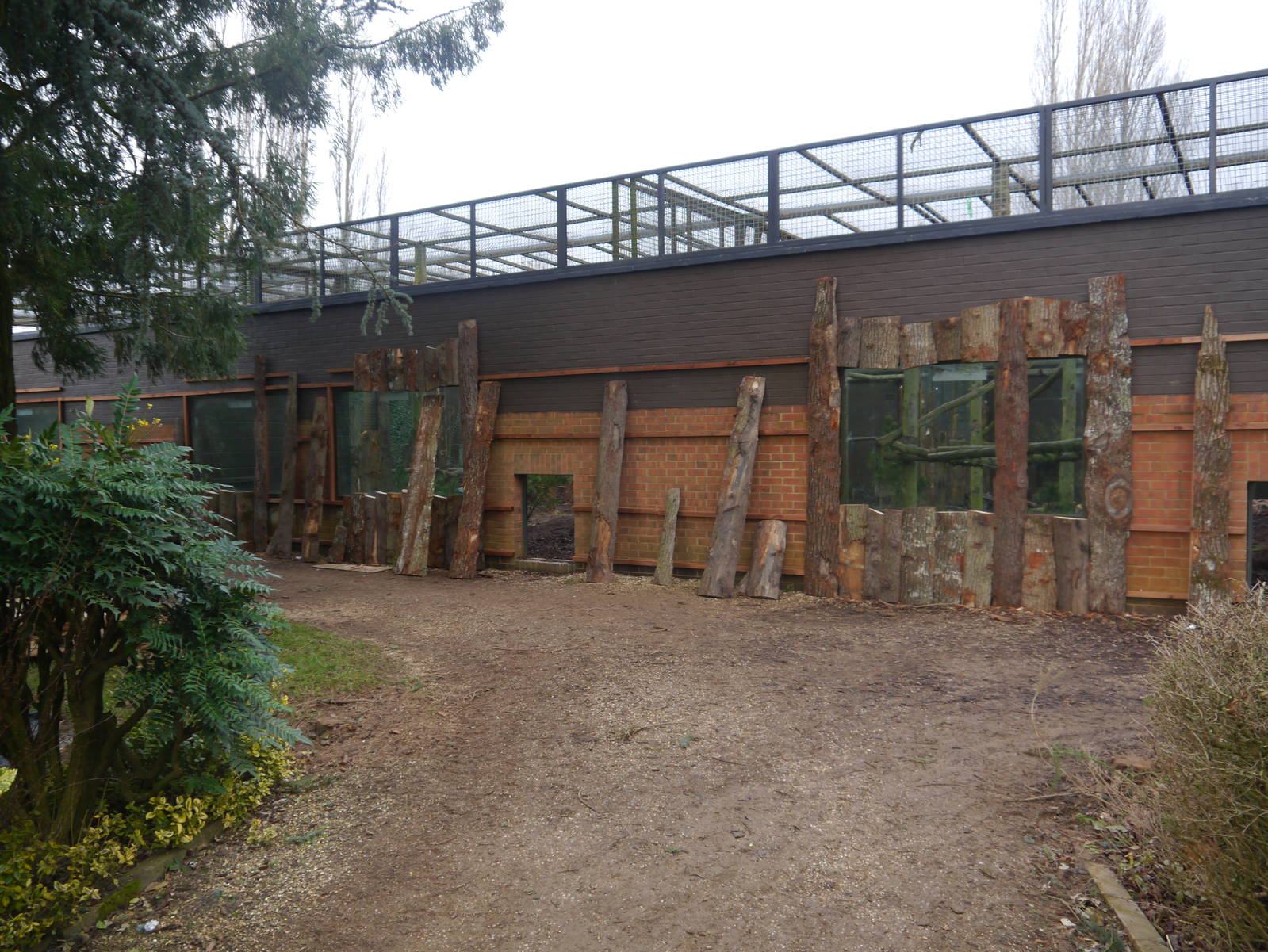 Twycross Zoo (3/2/2013)