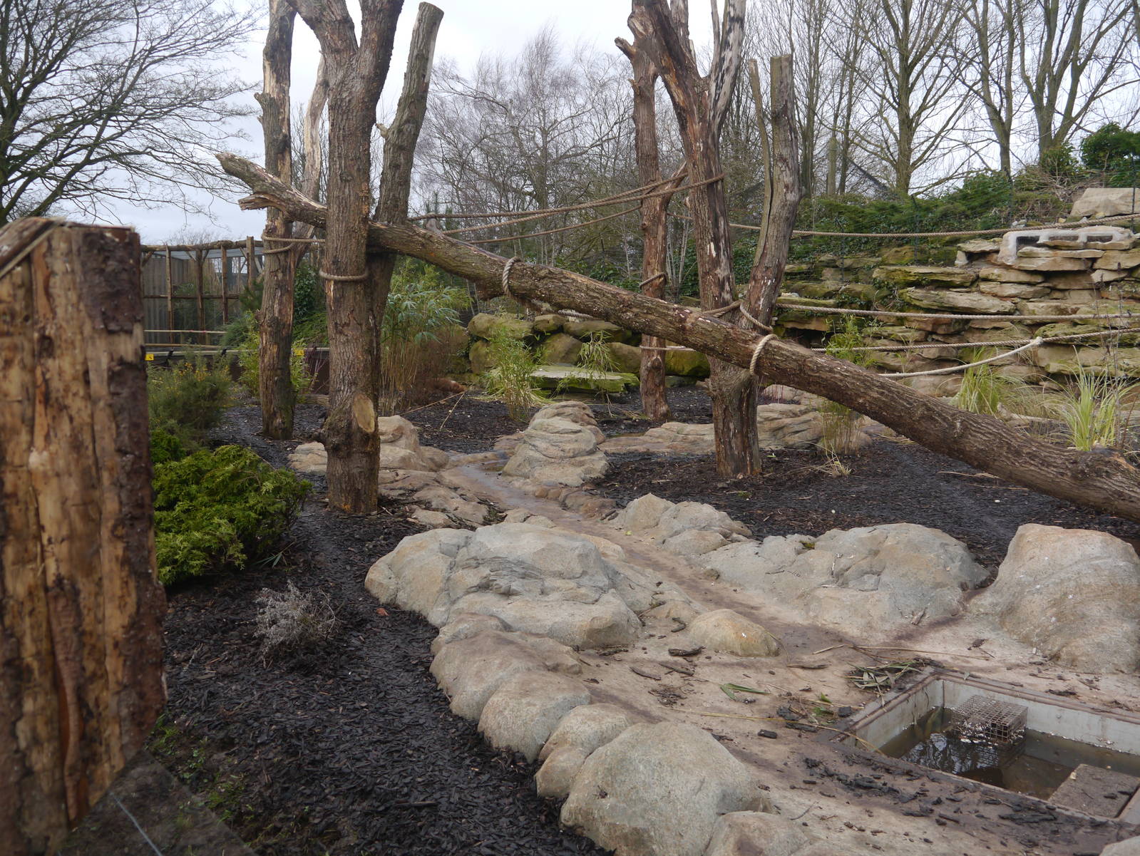 Twycross Zoo (3/2/2013)