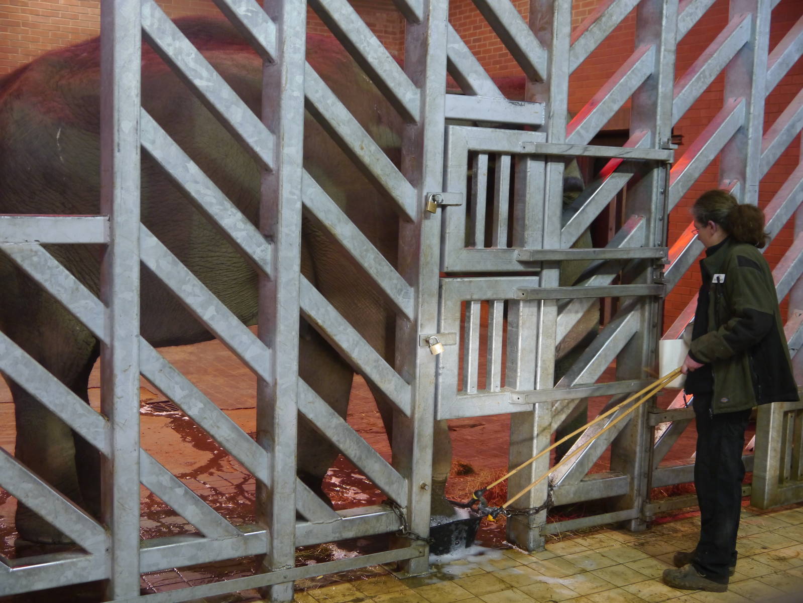 Twycross Zoo (3/2/2013)