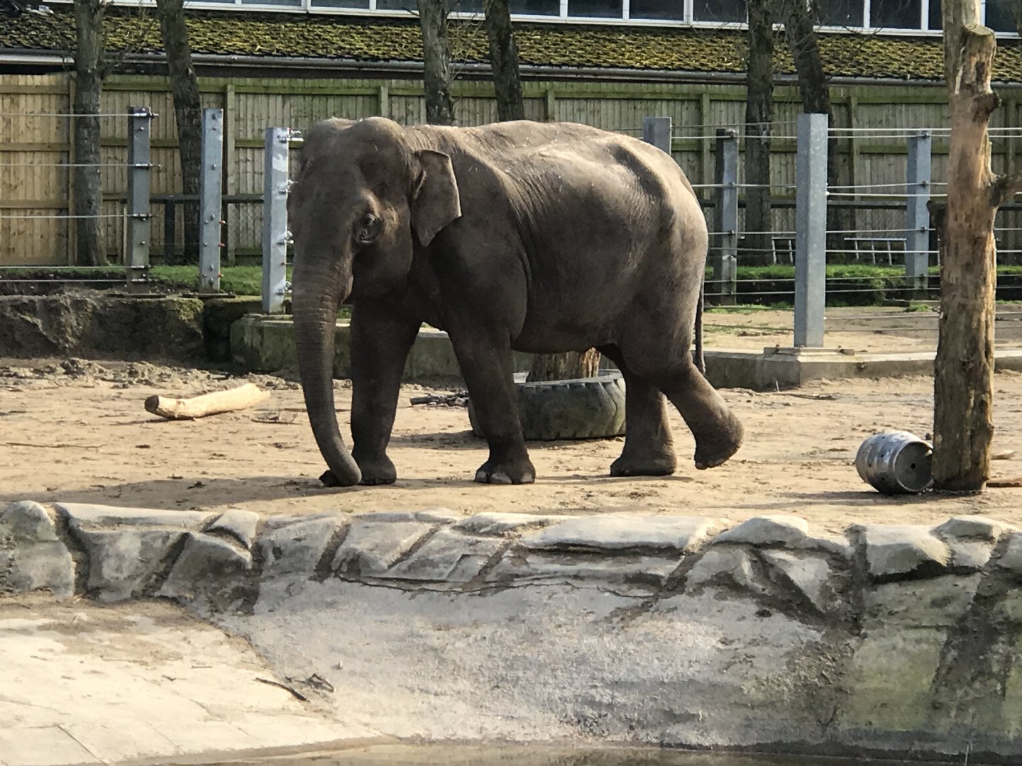 Twycross Zoo - 4/3/2017