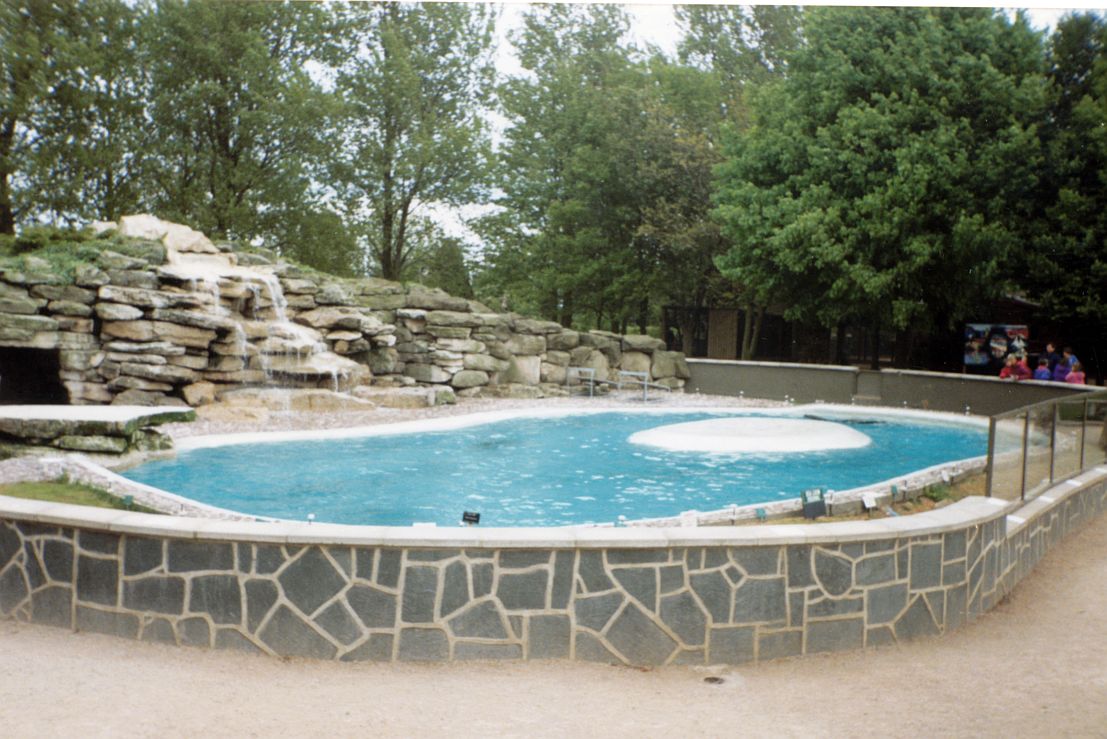 Twycross Zoo - Pinnipeds - sea lion pool