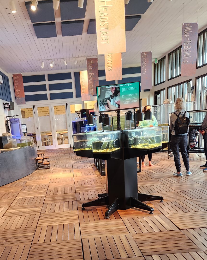 Tybee Island Marine Center - Main exhibit room