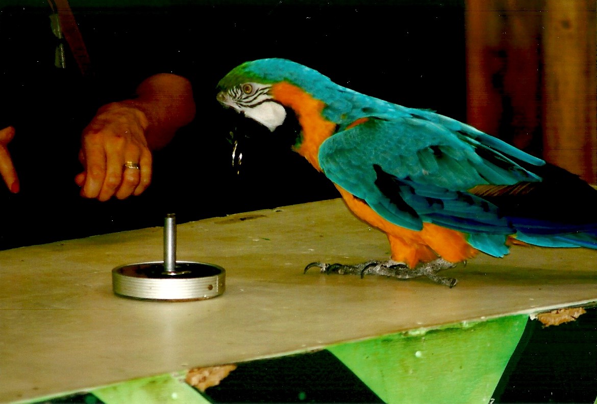 Tyler, September 2013