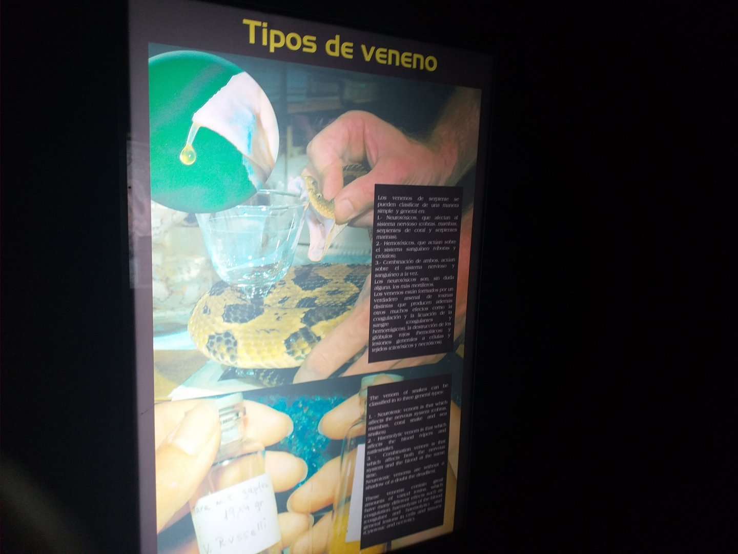 Types of venom sign -TerraNatura Benidorm (2021)