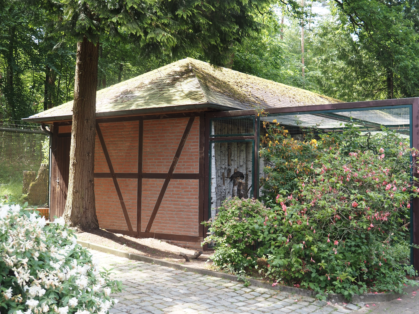 Typical aviary block building, 2024-05-21