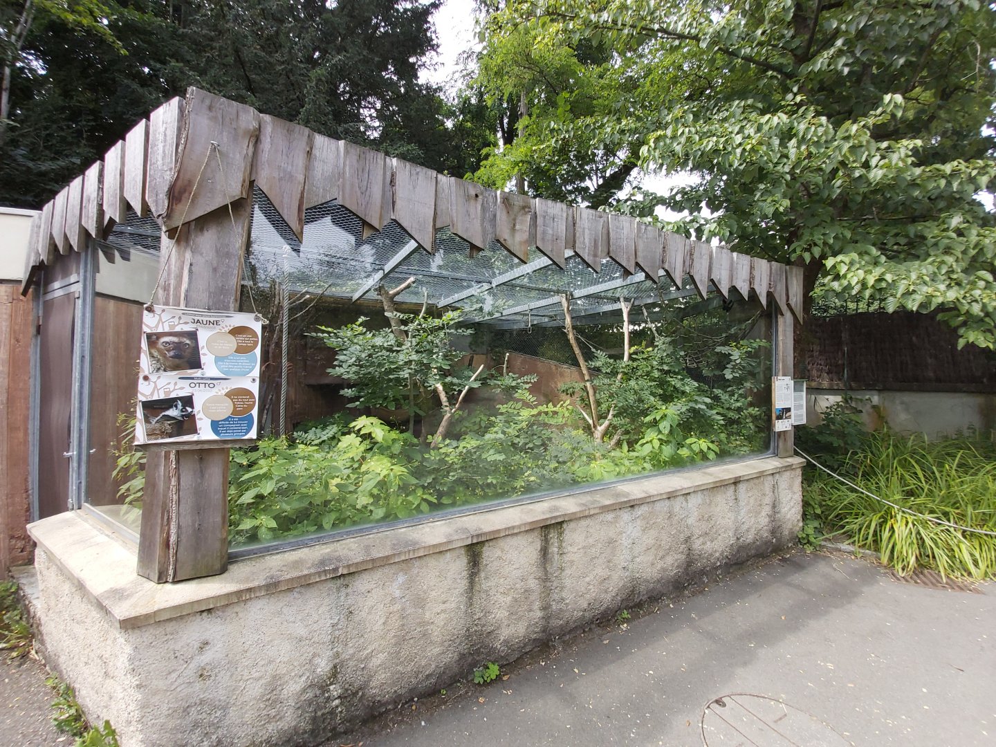 Typical aviary for lemurs (this one houses a ring-tailed lemur and blue-eyed black lemur)