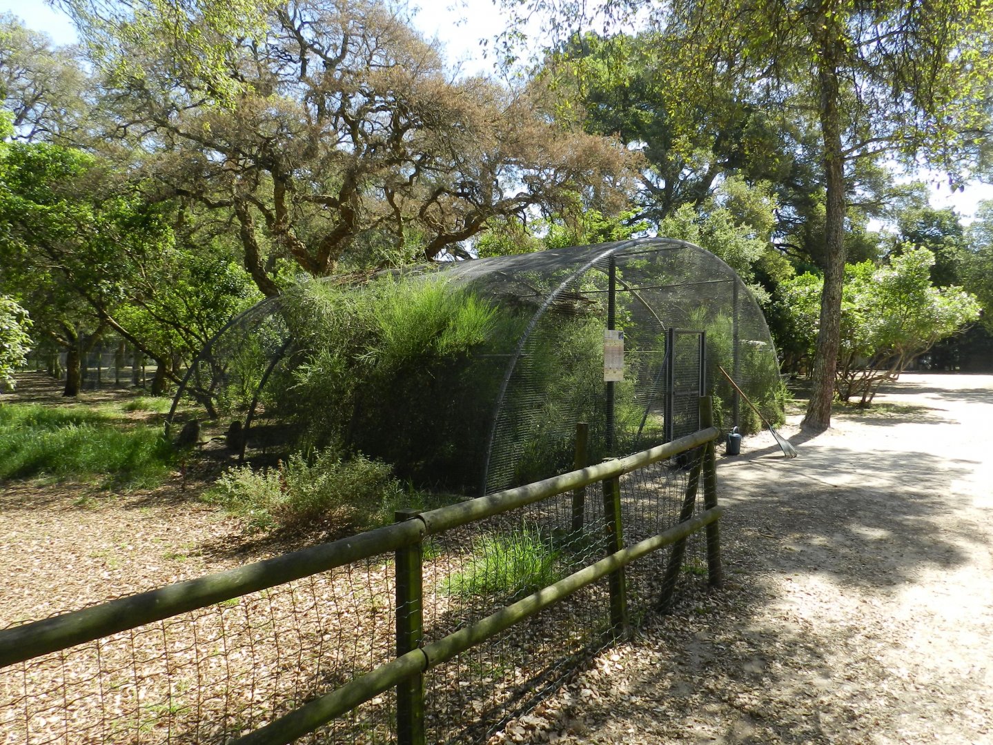 Typical cage for owls and parrots