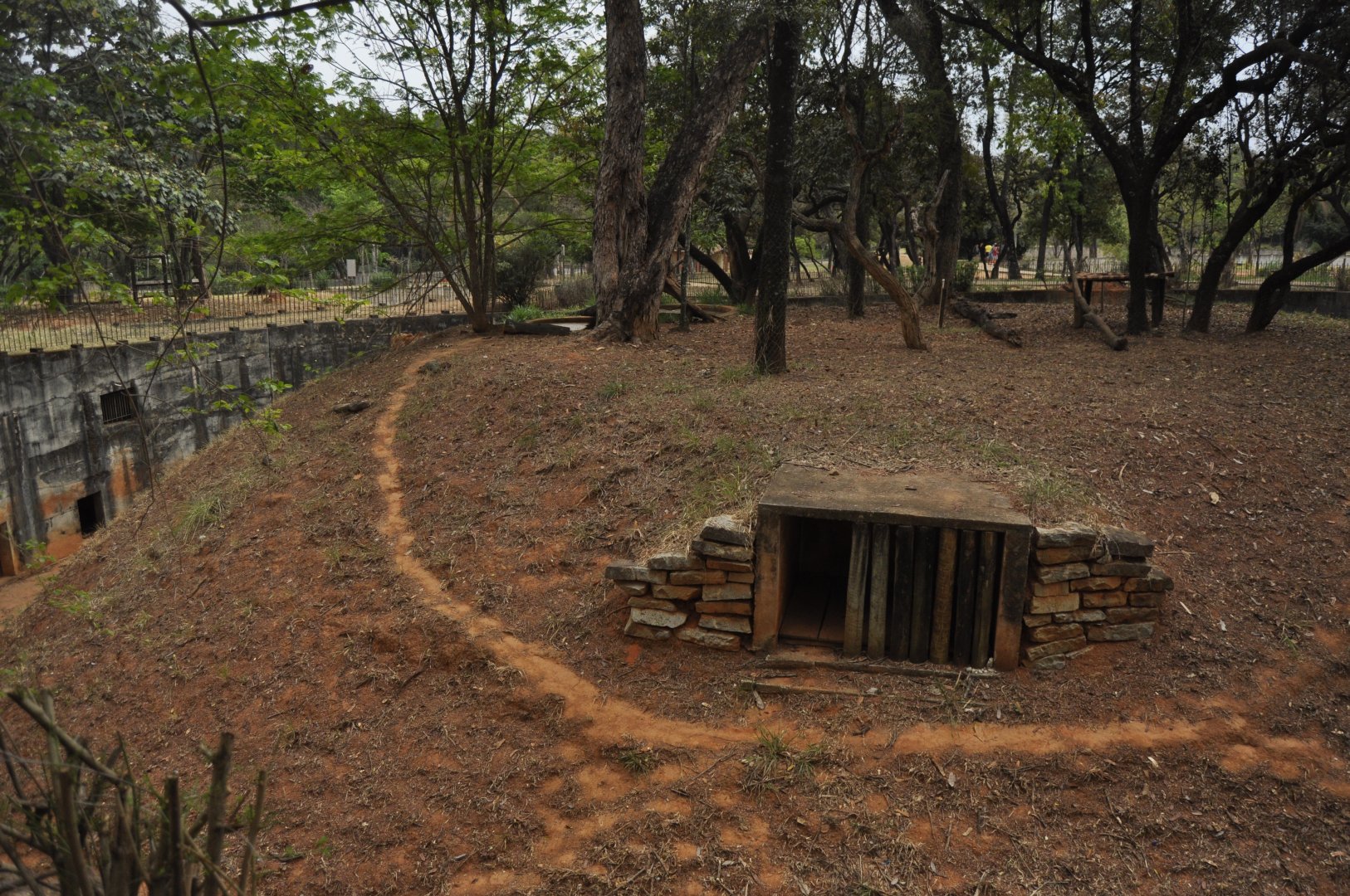 Typical catnivore pit