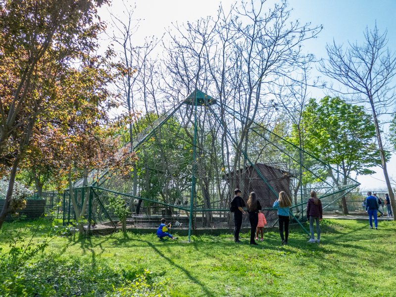 typical enclosure of water fowl, ducks and pidgeons