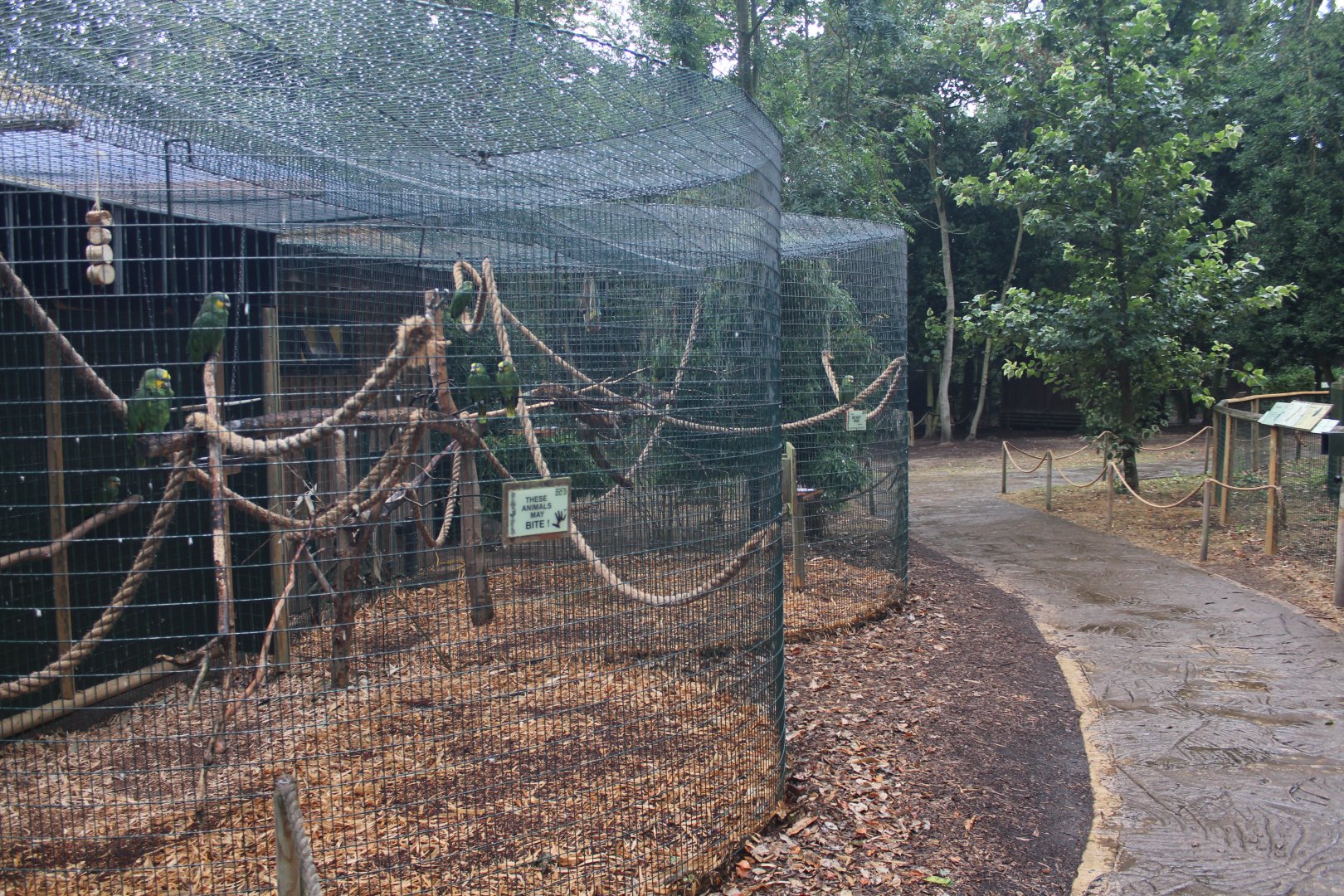 Typical enclosures (these ones for Amazon Parrots)