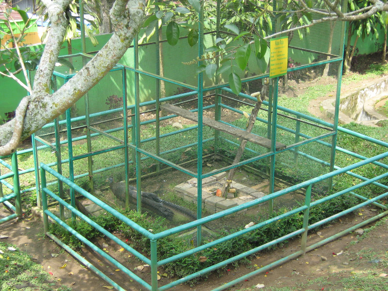 typical example of pheasant aviary