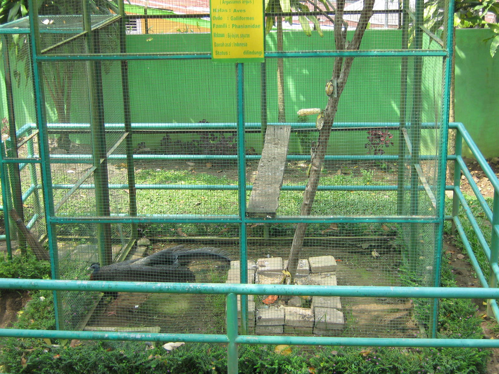 typical example of pheasant aviary