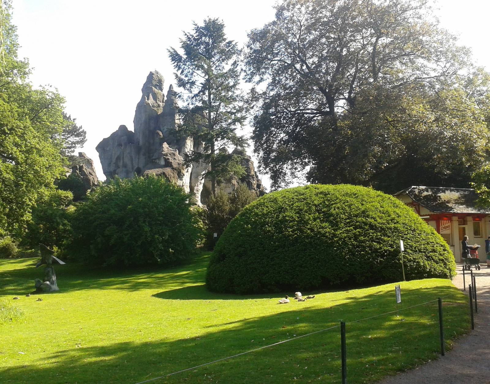 Typical Hagenbeck view