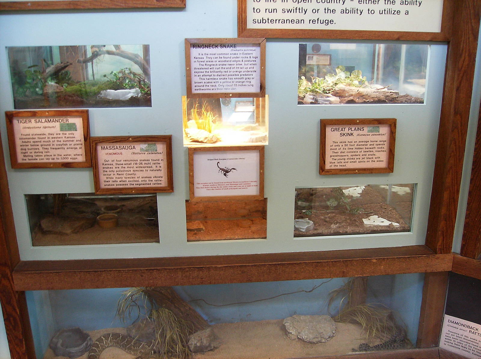 Typical herps/invert exhibits inside Wild Habitats