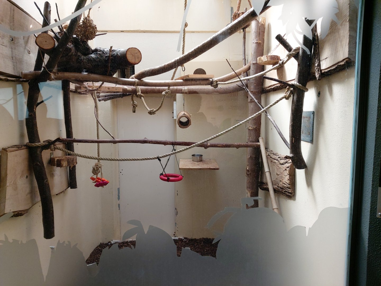 Typical indoor enclosure for callithrichid - Petite Amazonie