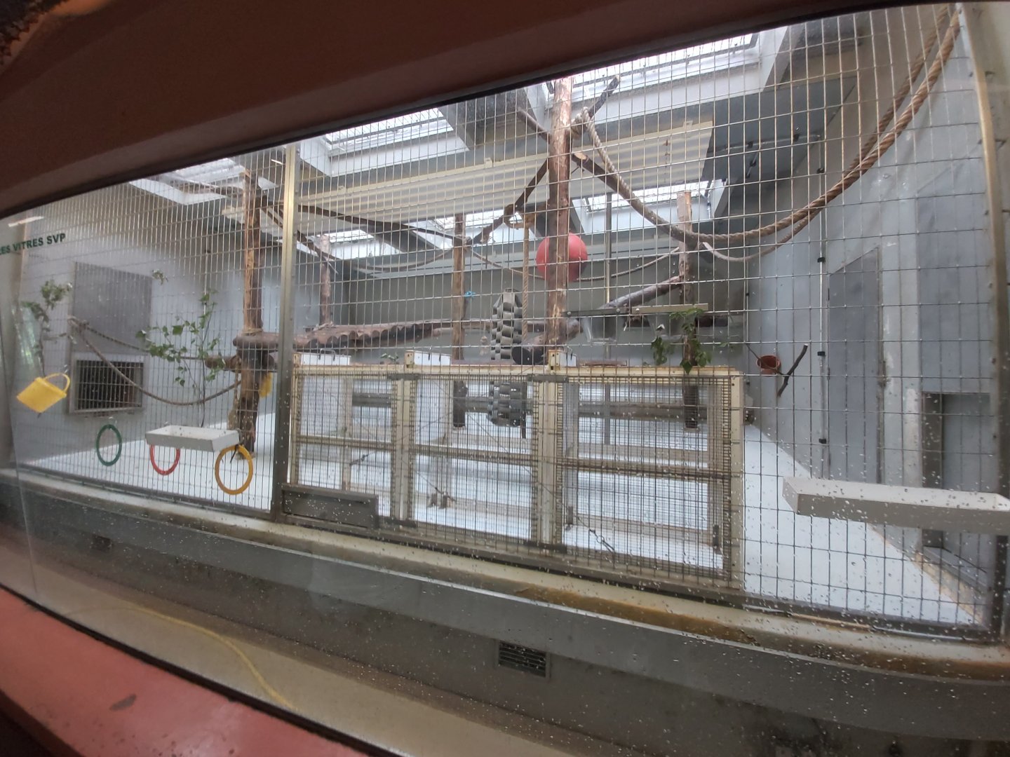 Typical indoor enclosure for monkeys - Singerie