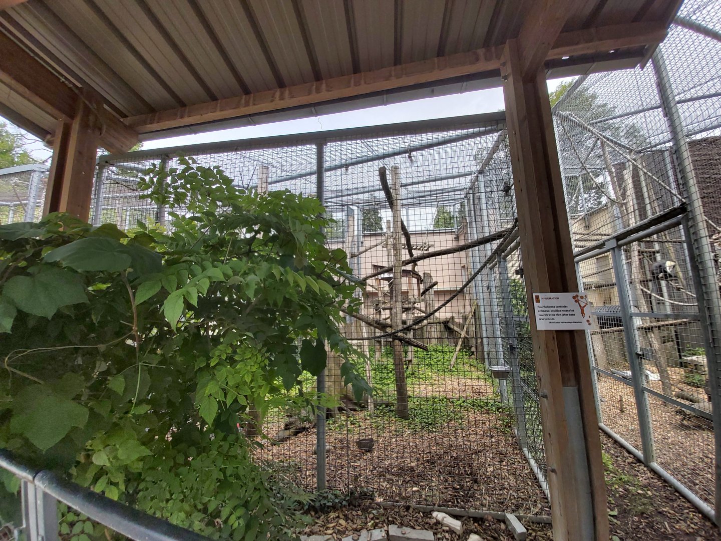 Typical monkey aviary - Singerie